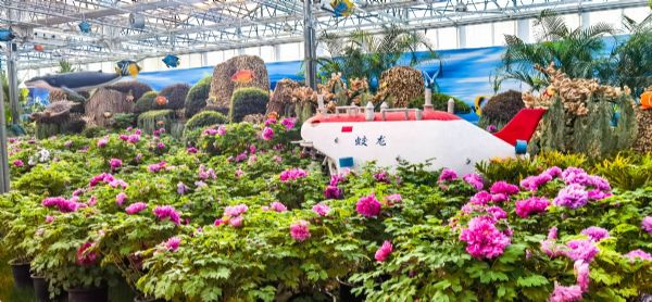 內蒙古通遼和佑首屆農業嘉年華