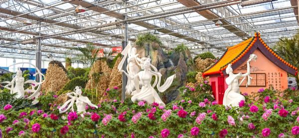 內蒙古通遼和佑首屆農業嘉年華