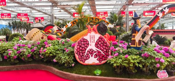 內蒙古通遼和佑首屆農業嘉年華