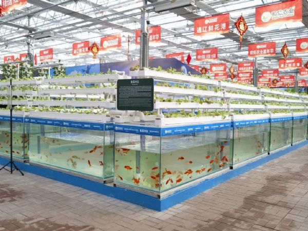 內蒙古通遼和佑首屆農業嘉年華