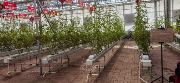 內蒙古通遼和佑首屆農業嘉年華